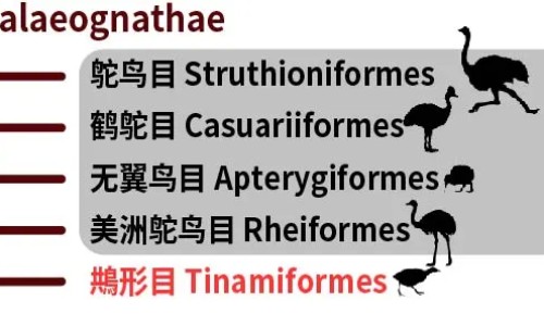 哺乳期吃药安全吗-哺乳期吃药后多久可以喂奶,中国哺乳期吃药网站