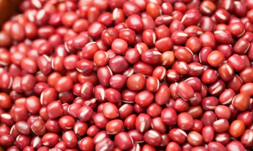 哺乳期吃药安全吗-哺乳期吃药后多久可以喂奶,中国哺乳期吃药网站